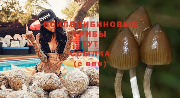 спиды Армянск