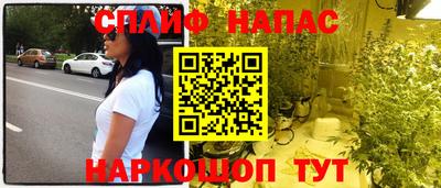 МДПВ Сланцы