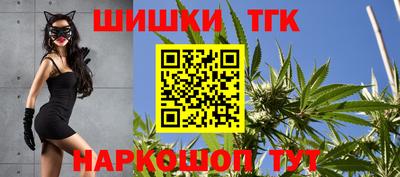МДПВ Сланцы