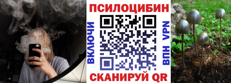 продажа наркотиков  Переславль-Залесский  Псилоцибиновые грибы MAGIC MUSHROOMS 
