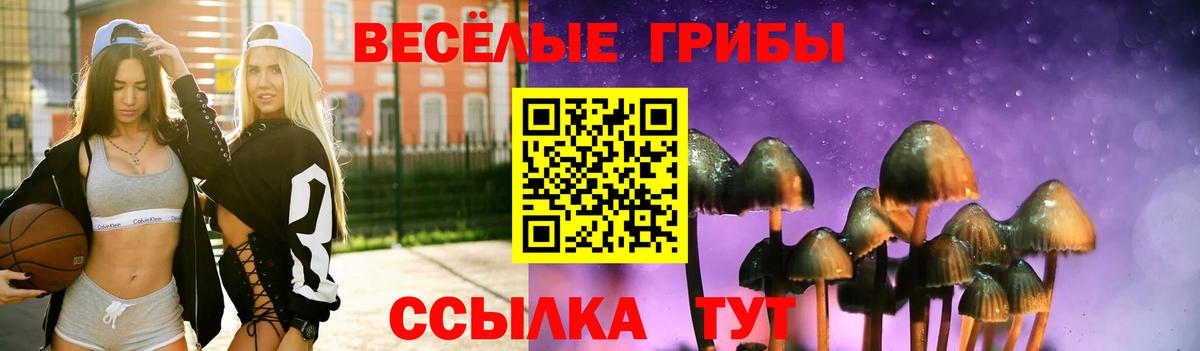 Псилоцибиновые грибы Cubensis  Вход с VPN  Переславль-Залесский  Псилоцибиновые грибы Cubensis 